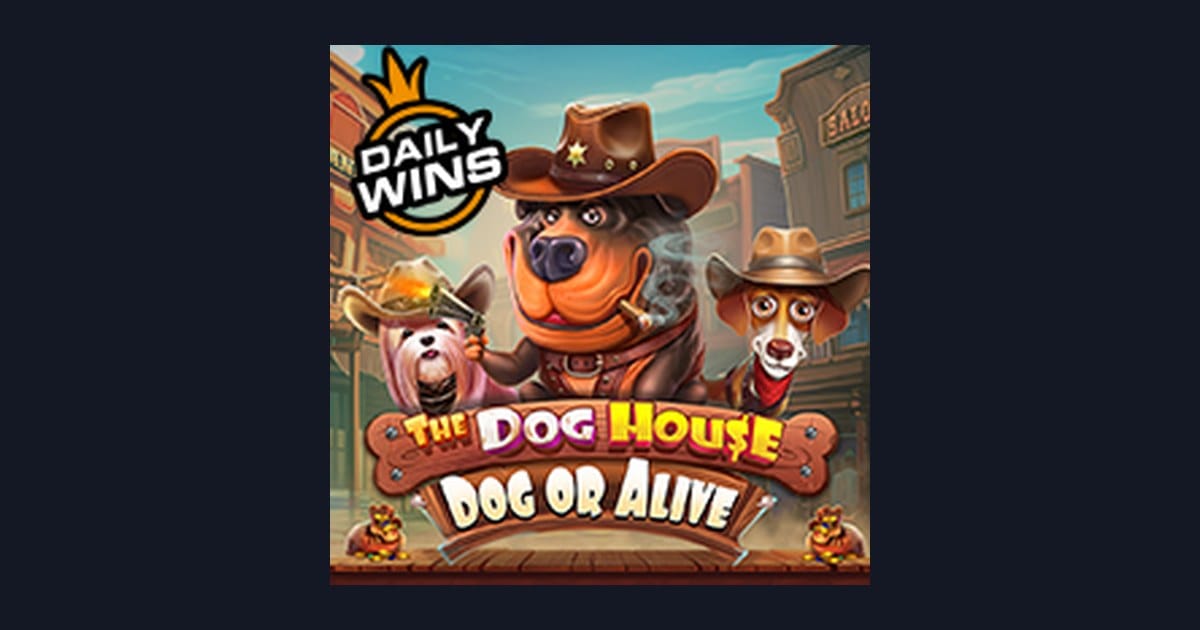 Mengenal Pola Spin Gacor di The Dog House Dog Or Alive dari Pragmatic Play